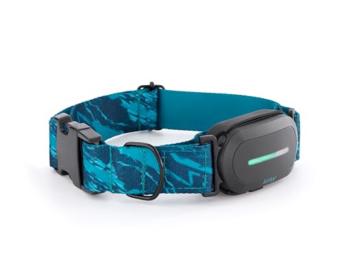 Kolyy Series 2 - Collar GPS para Perros Hecho en...