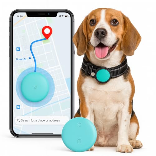 Localizador GPS Perros – Try&GETFUNstore –...