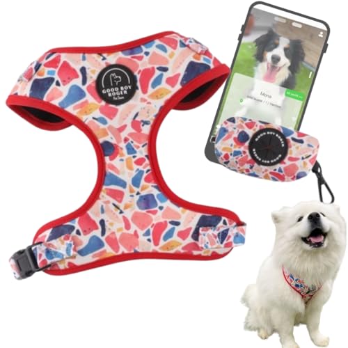 GoodBoyRoger-Arnes Localizable sin cuota- Sin...