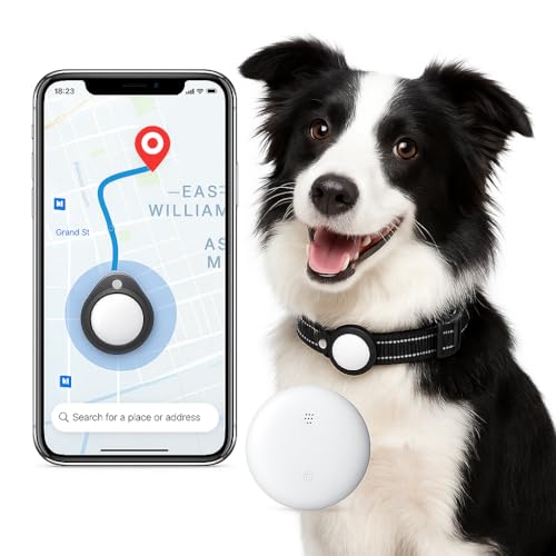 Localizador GPS Perros – Try&GETFUNstore –...