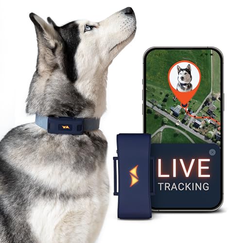 PAJ Localizador GPS para Perros 4G - Alarmas de...