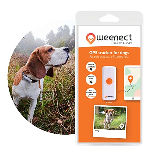 Localizador GPS para perro - Weenect | Seguimiento...