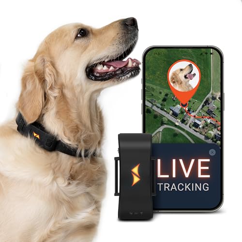 PAJ Localizador GPS para Perros 4G - alarmas de...