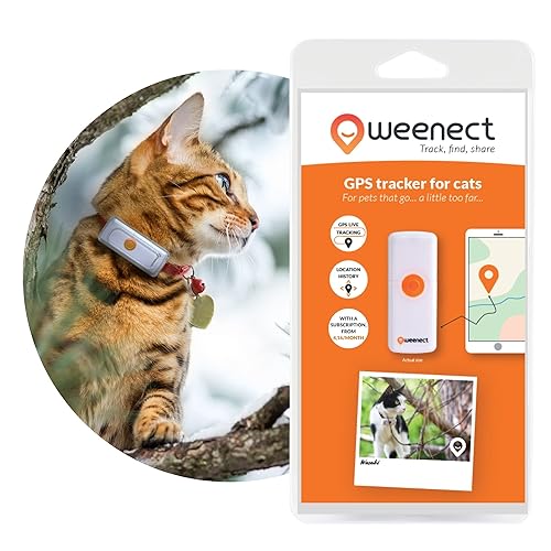 Weenect Cats 2 - Rastreador GPS para gato |...